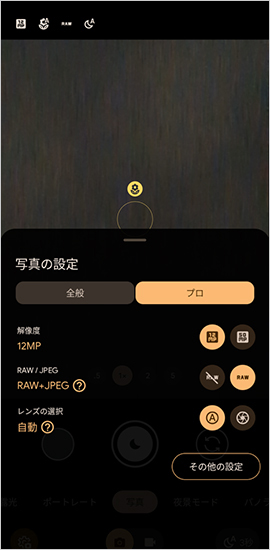RAW形式の設定画面 ※Google Pixelの場合