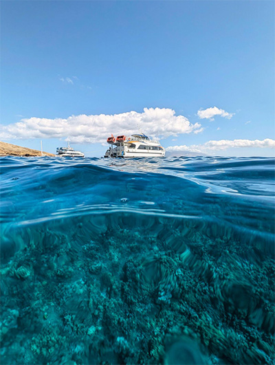 地上と水中のスプリットショット