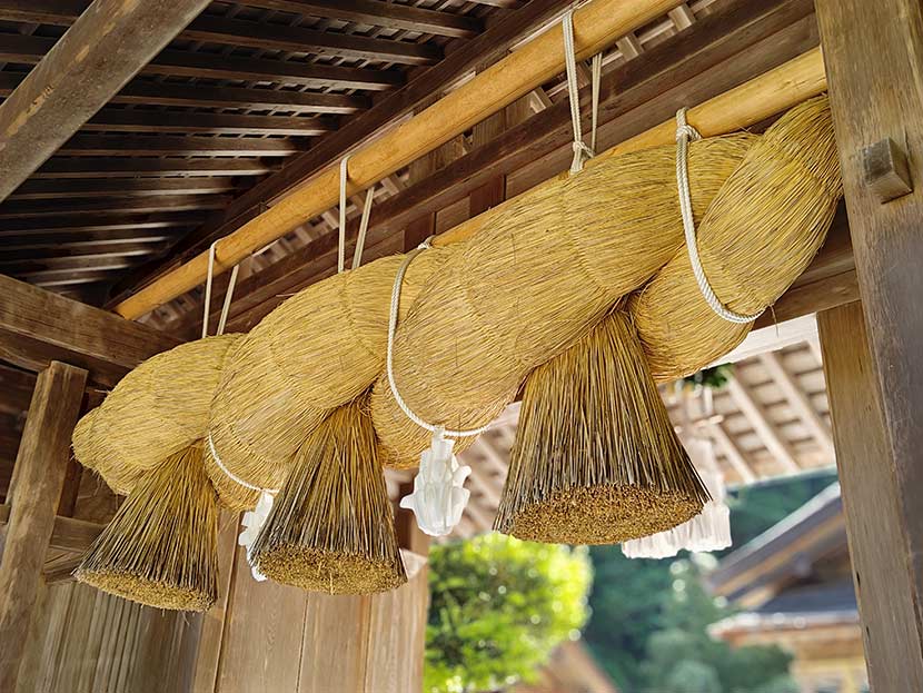 「Leitz Looks」機能で撮影(SUMMILUX 35使用)