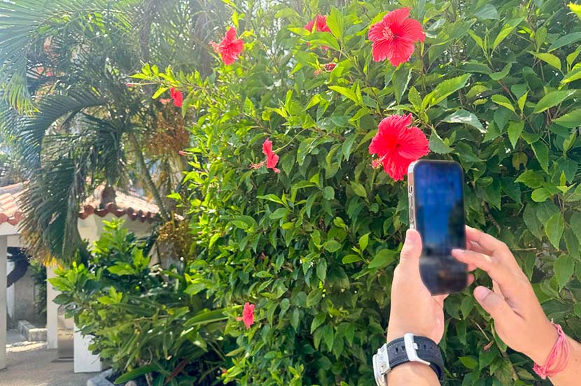 海底ケーブルを切り替えることで、宮古島・石垣島の通信品質の改善を目指す