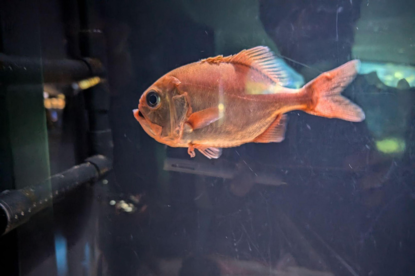 撮影者が写り込んでしまった