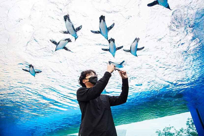 暗さやゆがみ… 水族館で撮影する際に失敗してしまう3つの理由と解決法