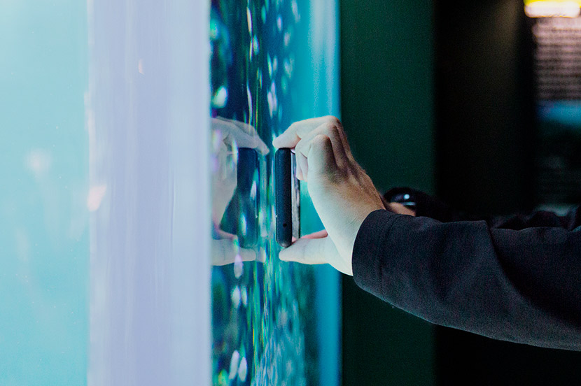 ②水槽にスマホを近づけて、水槽の反射や人の写り込みを解消