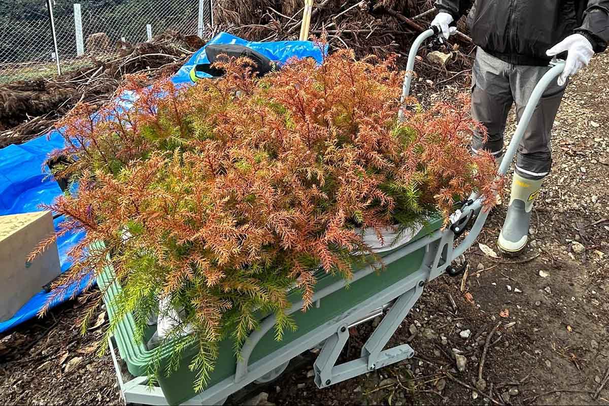 NatureBank初の “リアル植樹” を徳島で実現