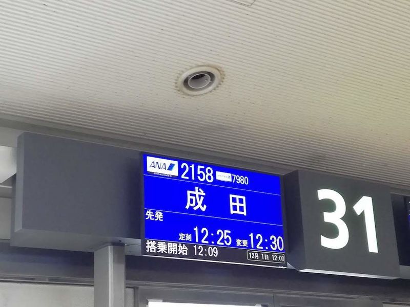 f:id:sbrktkr:20181206224632j:plain f:id:sbrktkr:20181206224632j:plain