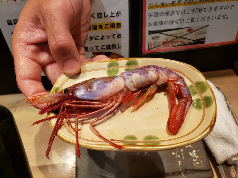 新千歳空港の隠れスポット 五十七番寿しで幻のぶどうえびをいただく ぬいとめし 新千歳空港の隠れスポット 五十七番寿しで幻のぶどうえびをいただく ぬいとめし