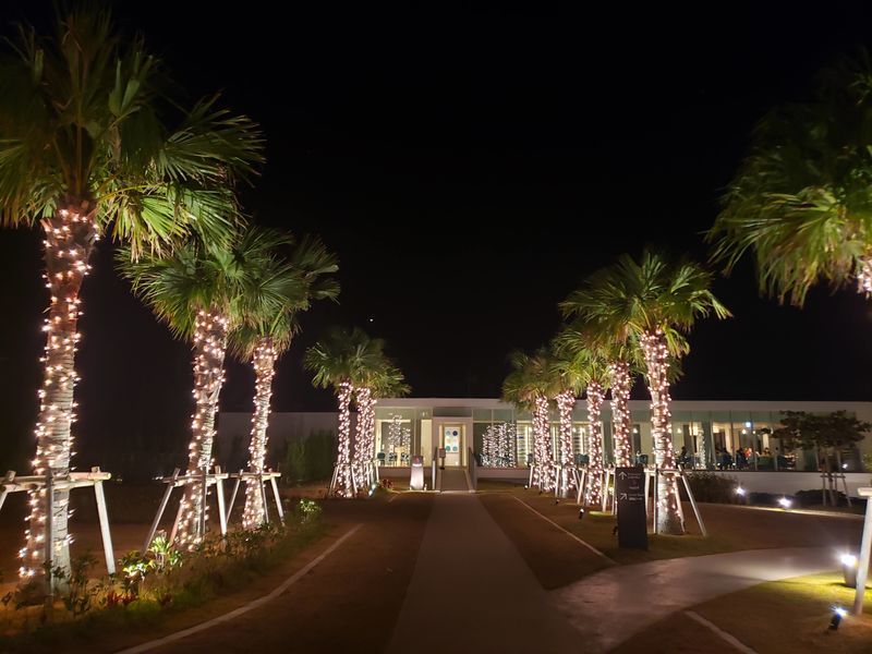 f:id:sbrktkr:20220116120430j:plain