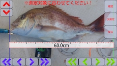 f:id:sbs614:20210226064936j:plain