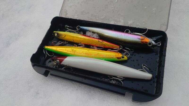 2024年のハタハタパターンはただの修行だった話 - ソルトルアーのすすめ！