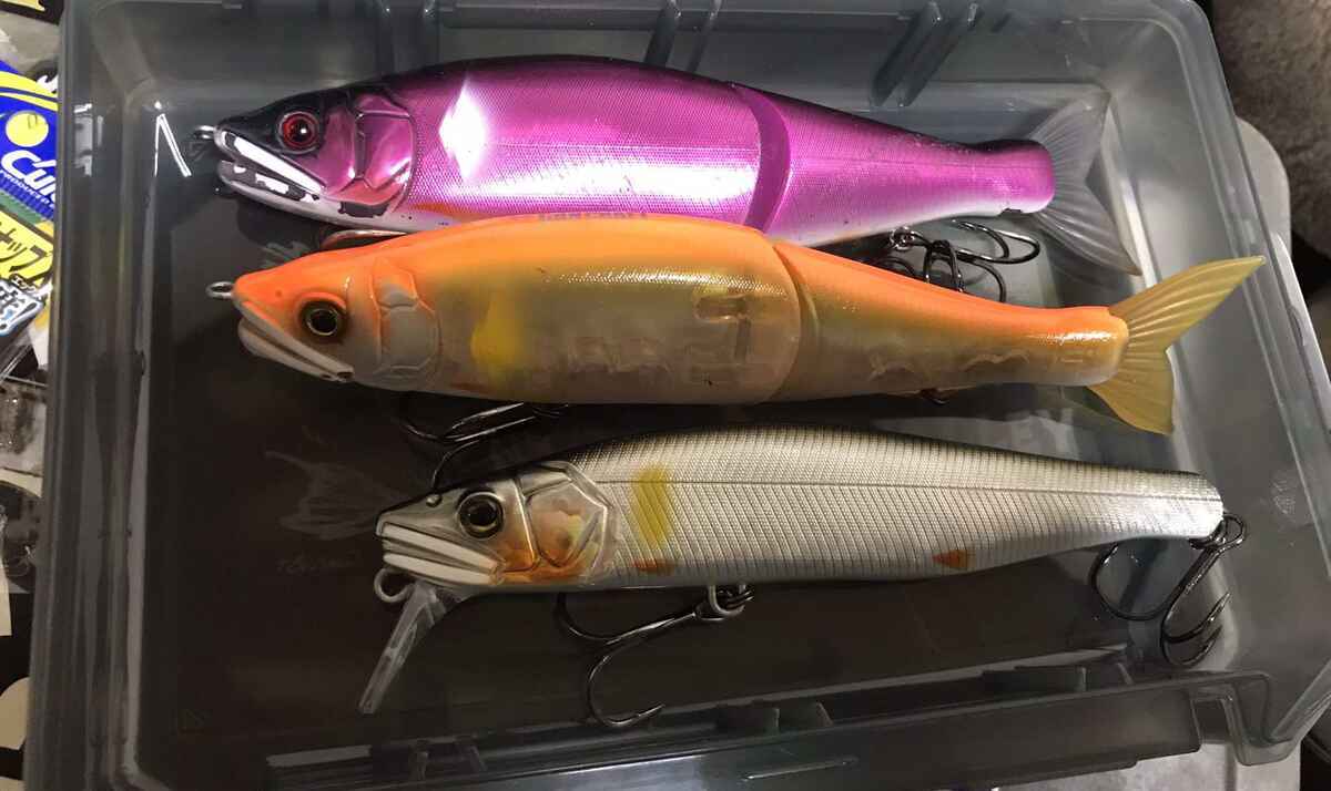 GAN CRAFT ビッグベイトルアー5本ケースセット GAN CRAFT ビッグベイト