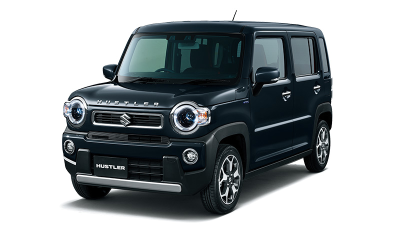 ダイレクトハスラー　人気2色セット ダイレクトハスラー 人気2色セット ダイレクトハスラー 人気2色セット