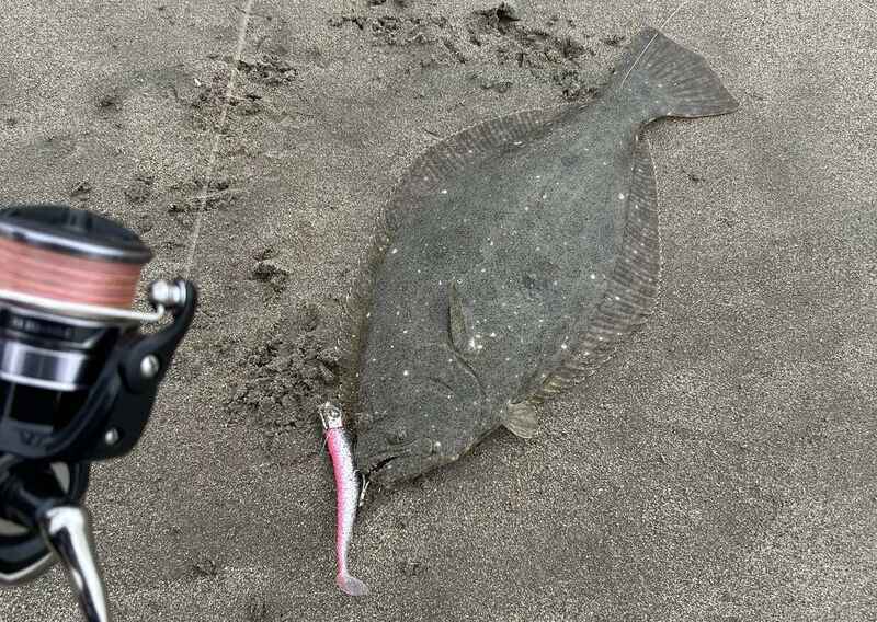ヒラメ サーフ 青物 投げ 万能竿 ヒラメ サーフ 青物 投げ 万能竿