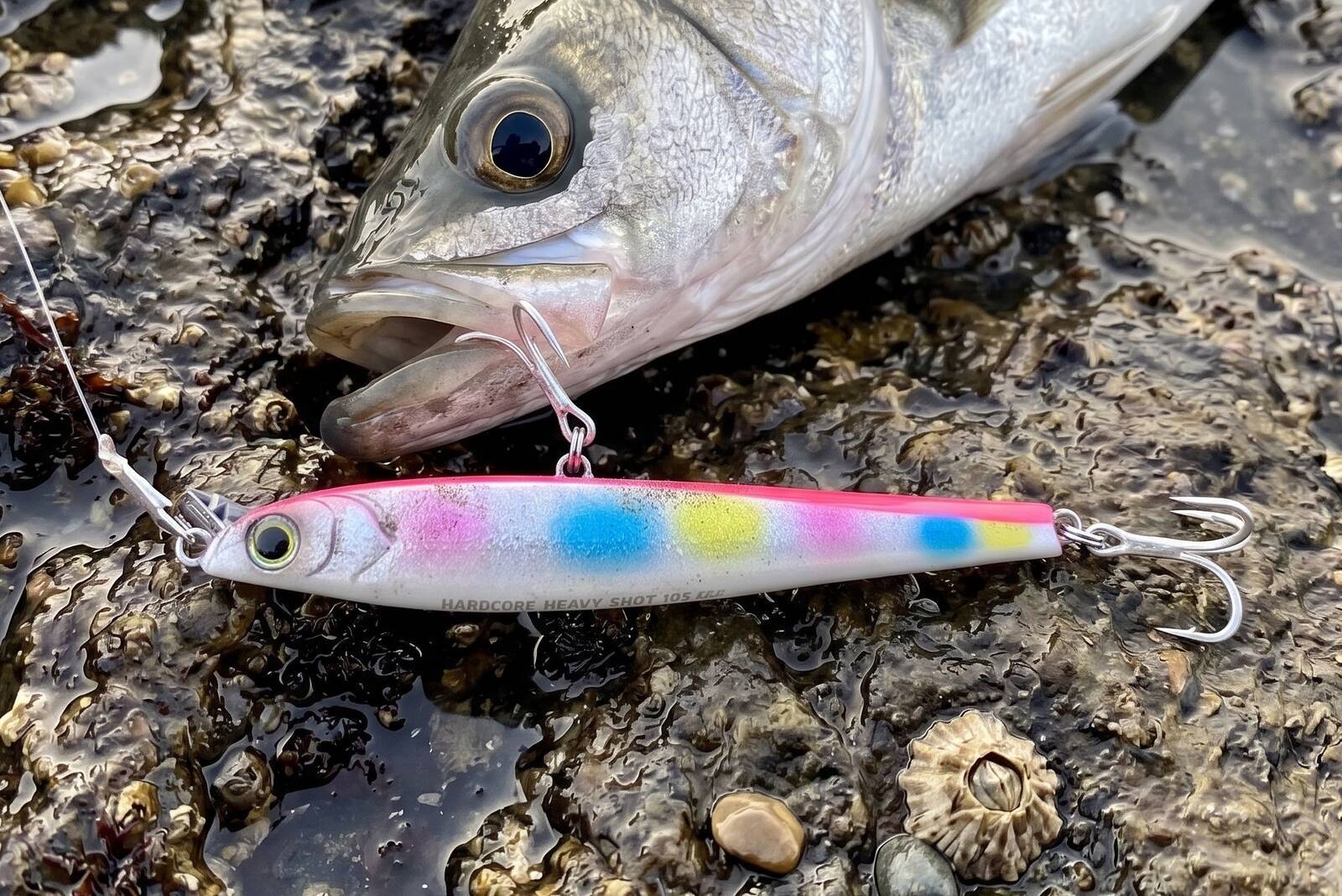 青物・サーフ】モンスターショットで釣れない？スレた魚に口を使わせる