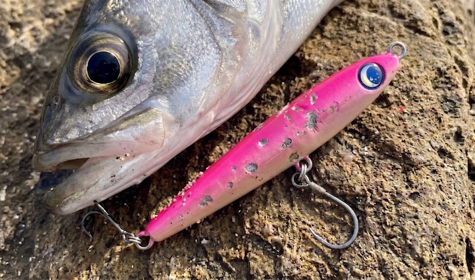 青物・サーフ】モンスターショットで釣れない？スレた魚に口を使わせる