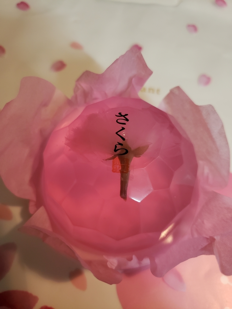 f:id:sbtym:20190216224734j:plain