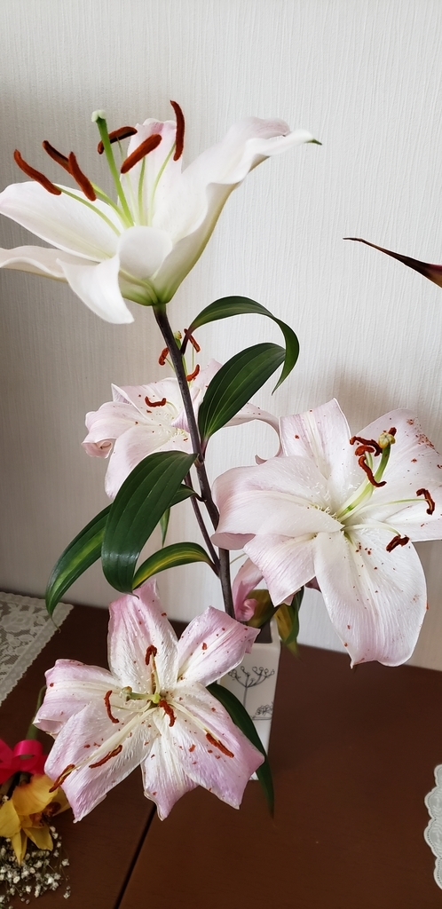 f:id:sbtym:20190313132631j:plain