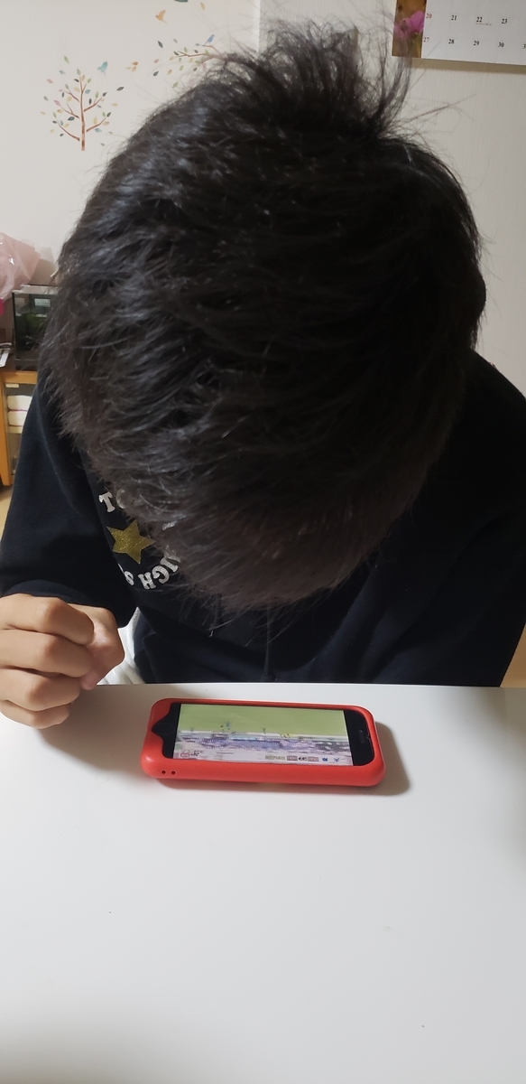 f:id:sbtym:20191104230740j:plain