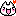 きゃvネコ きゃvネコ