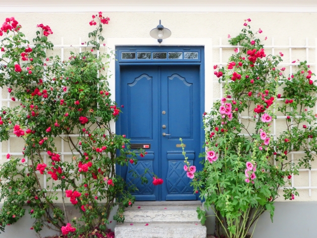 f:id:scacao88:20200802113643j:plain