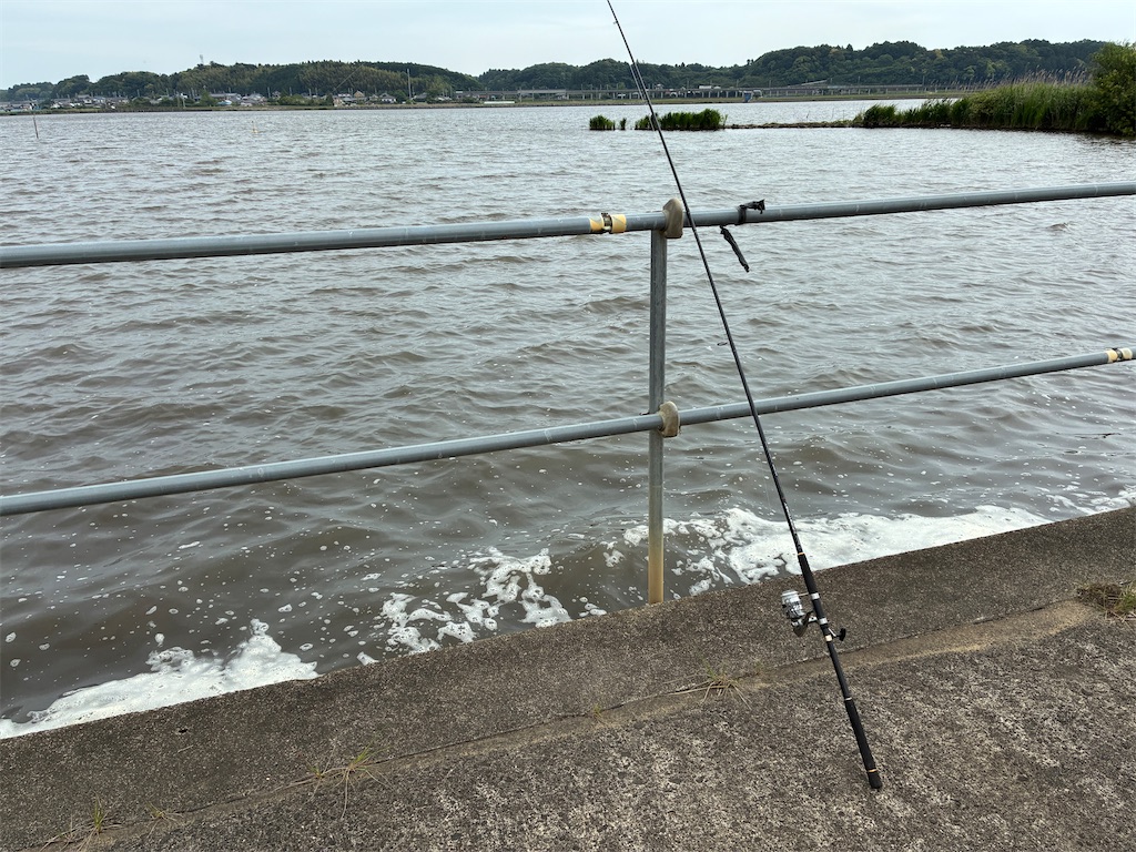 f:id:scapegoat422:20251231225334j:image