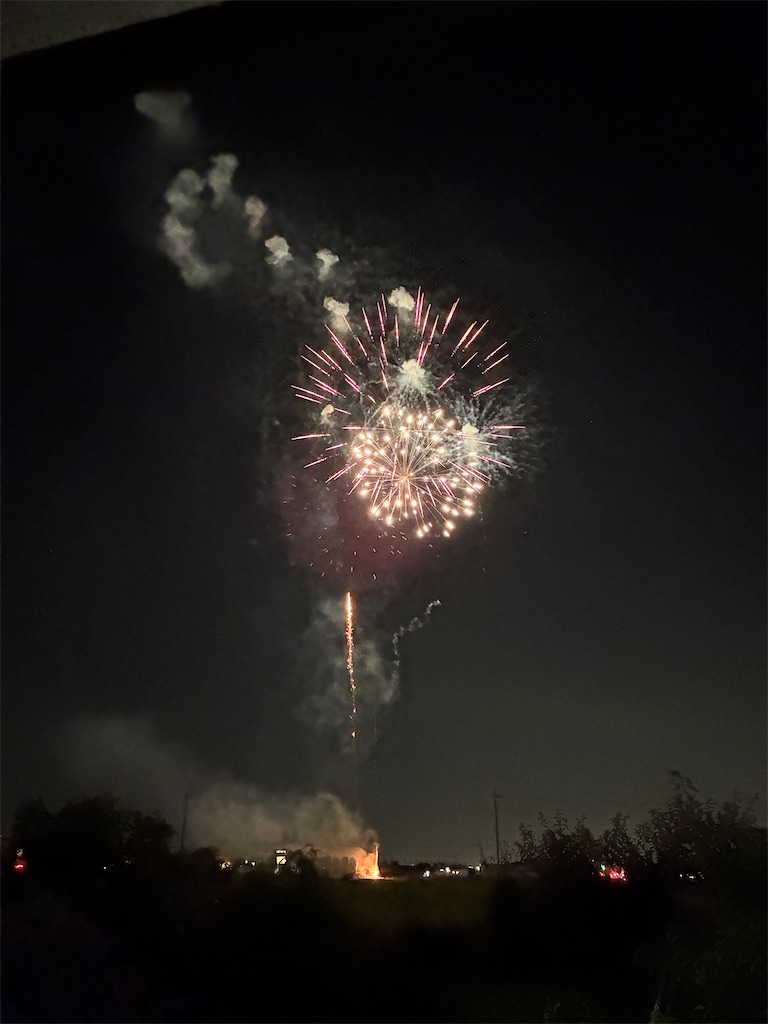 f:id:scapegoat422:20251231225951j:image