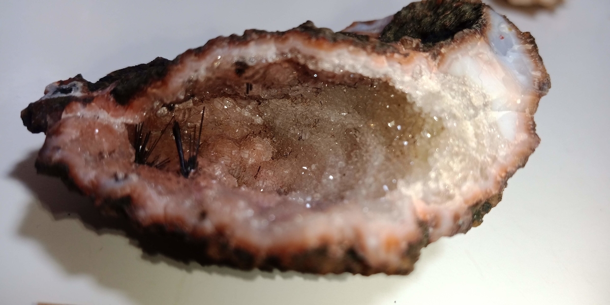 f:id:scatmanbo:20200225102617j:plain