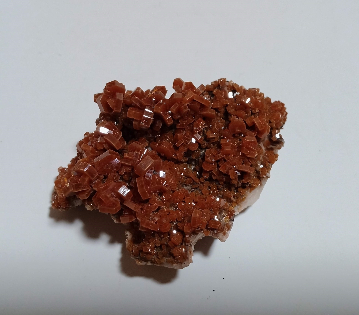 f:id:scatmanbo:20200225103723j:plain