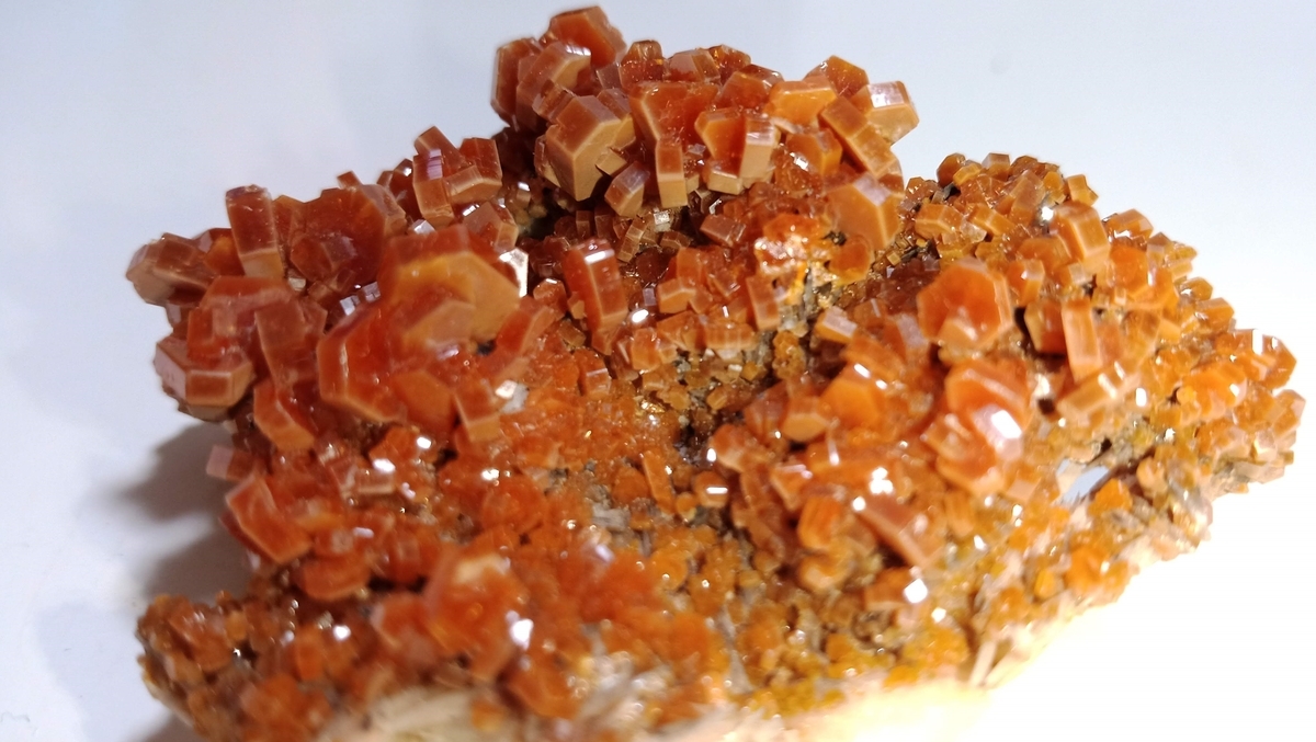 f:id:scatmanbo:20200225104025j:plain