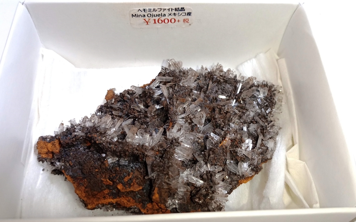 f:id:scatmanbo:20200225104754j:plain