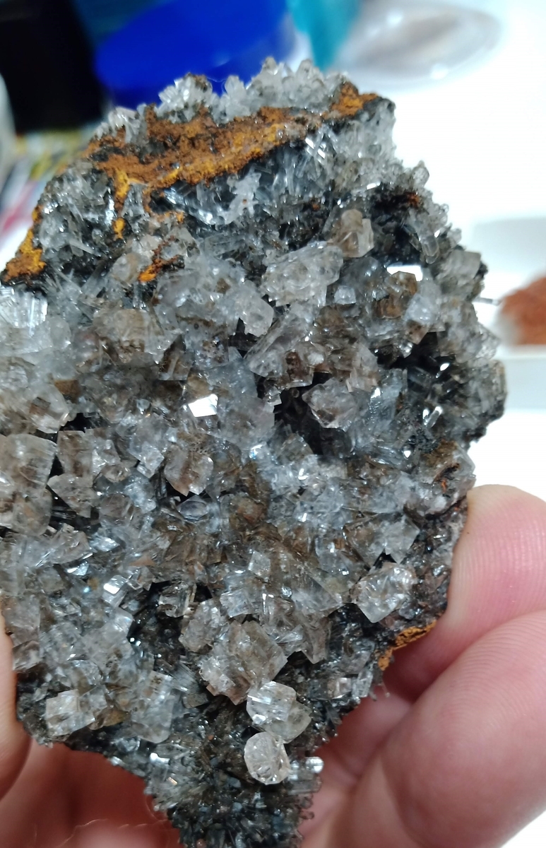 f:id:scatmanbo:20200225105225j:plain