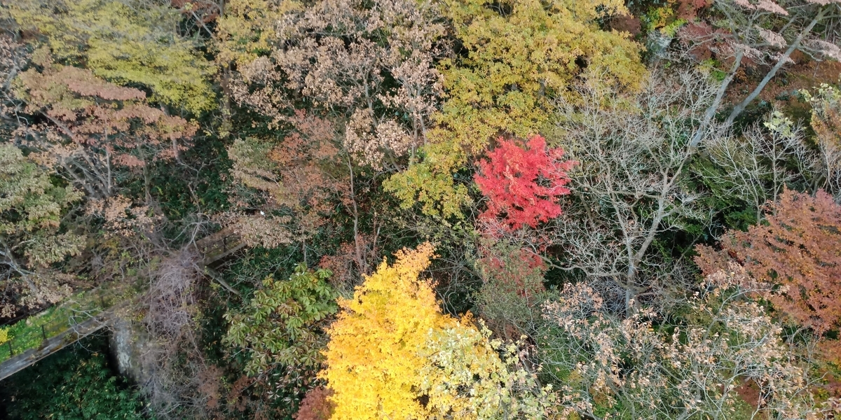 f:id:scatmanbo:20201029111255j:plain