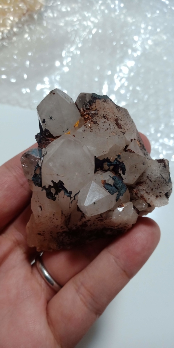 趣味の鉱物収集 ホランダイトインクォーツ（星入り水晶