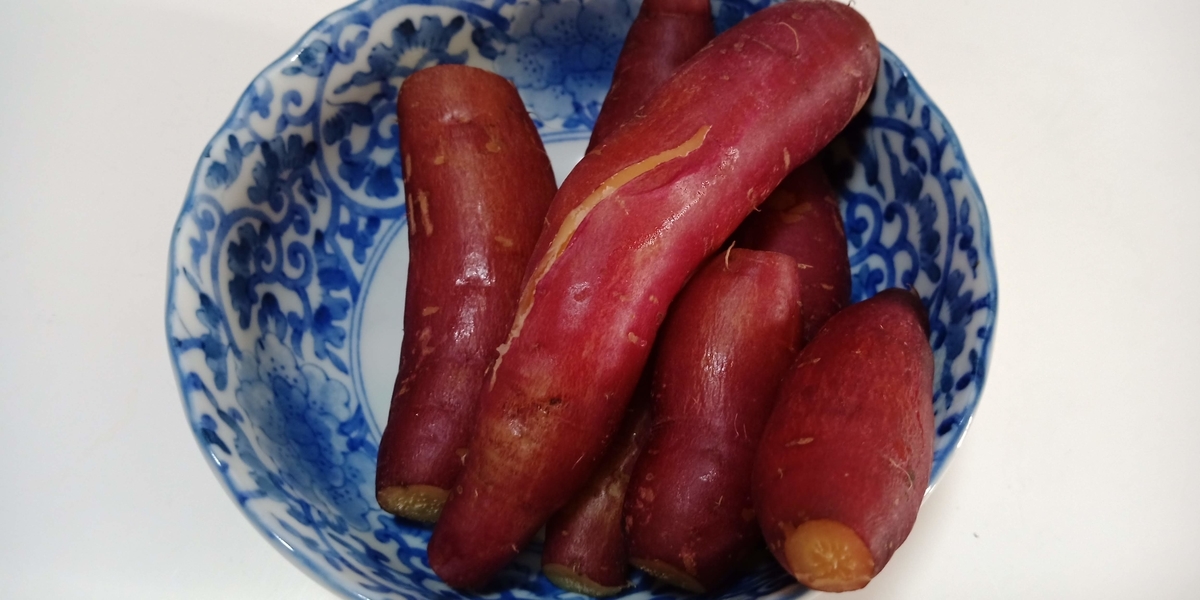 f:id:scatmanbo:20211122094326j:plain
