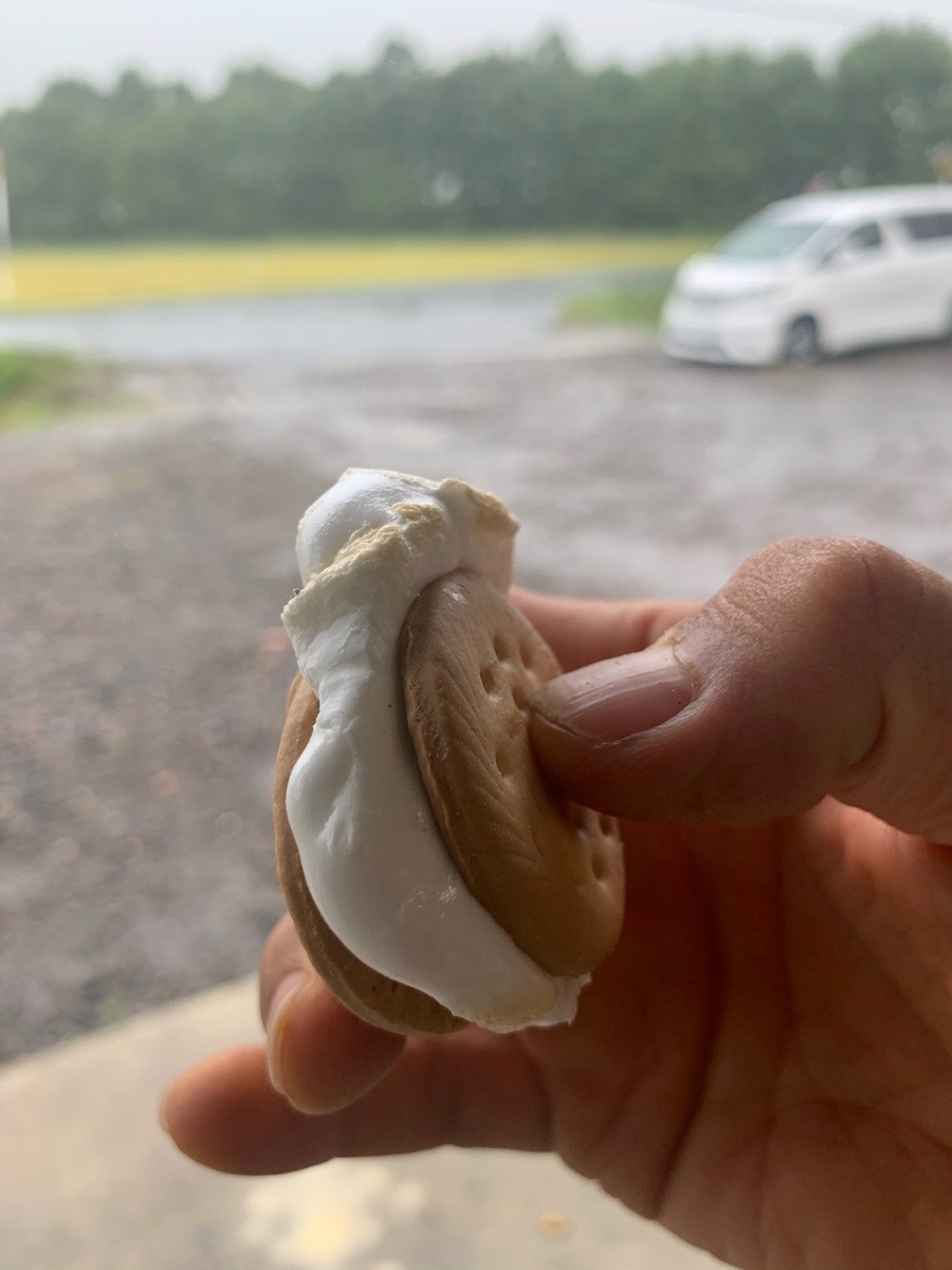 f:id:sccmx037:20200908190857j:plain