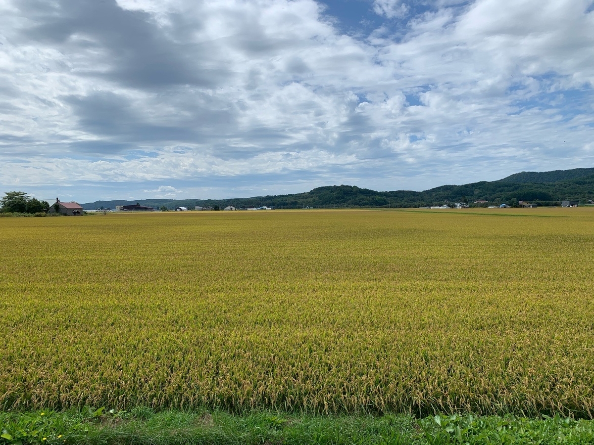 f:id:sccmx037:20200908191349j:plain