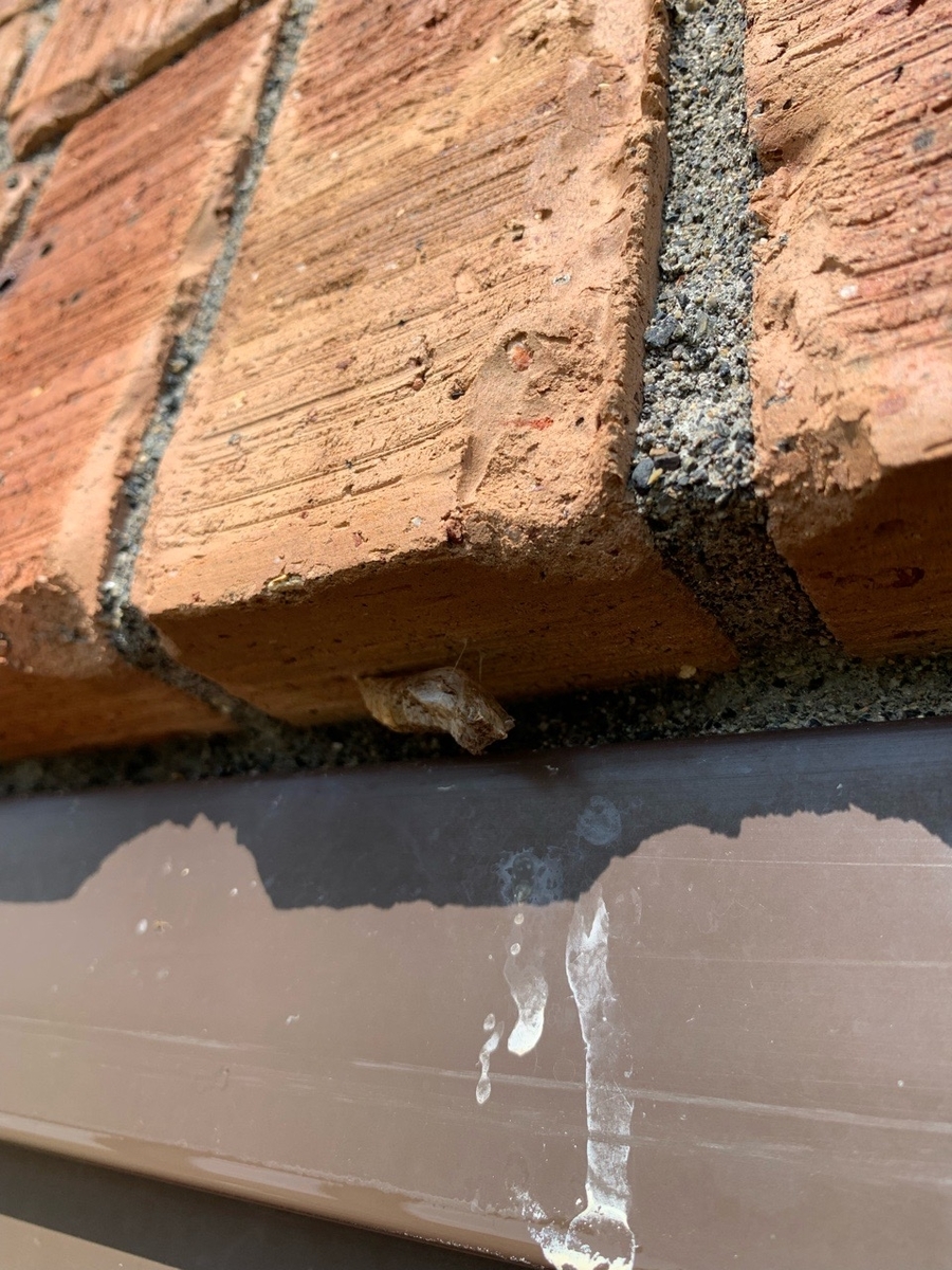 f:id:sccmx037:20210905135913j:plain