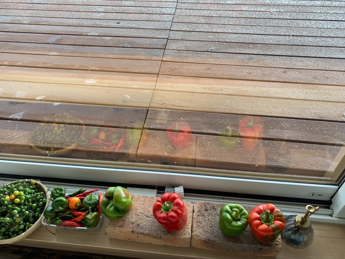 f:id:sccmx037:20211020155927j:plain