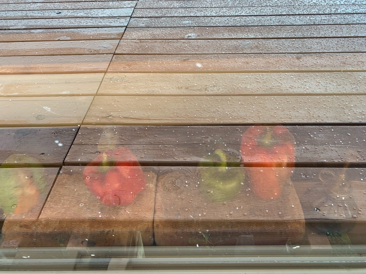 f:id:sccmx037:20211020155958j:plain