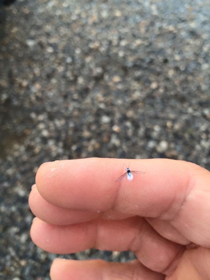 f:id:sccmx037:20211020163002j:plain