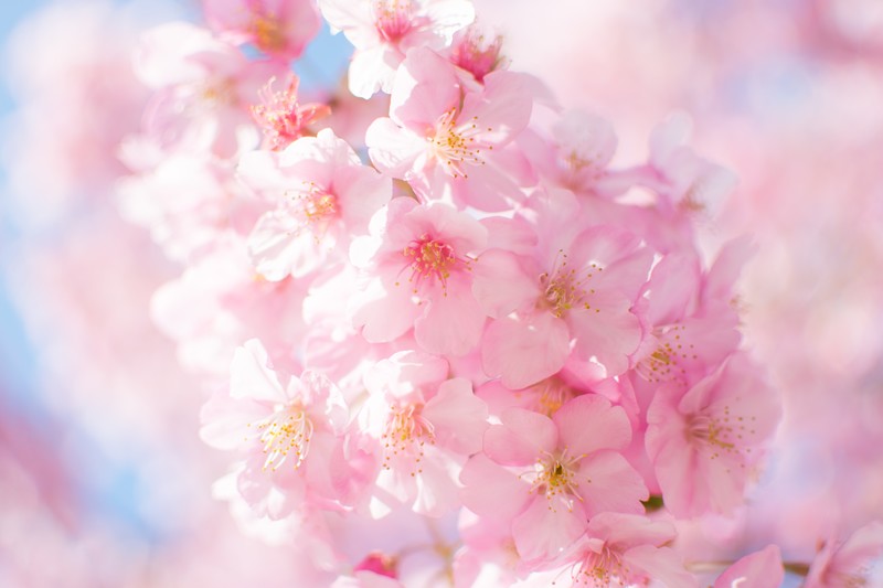 f:id:scene45:20190406211954j:plain