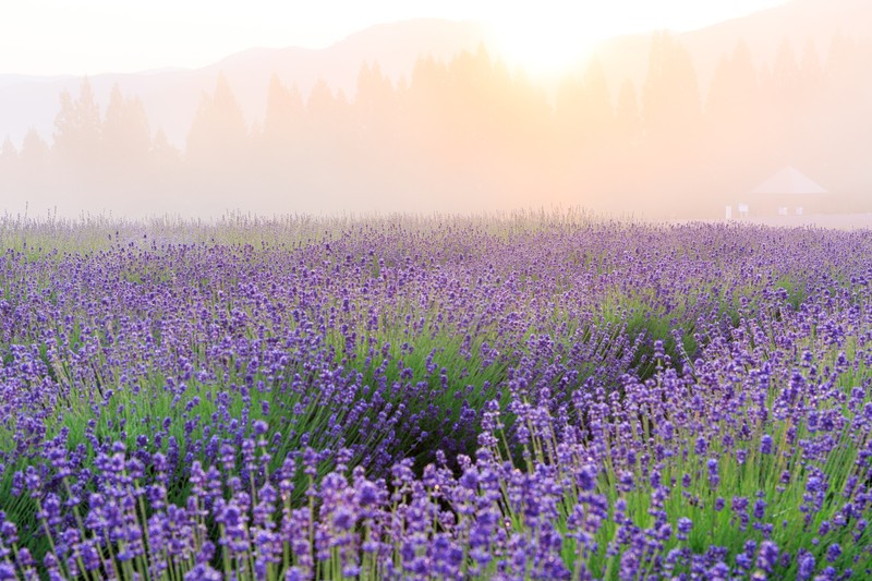 f:id:scene45:20210307152410j:plain