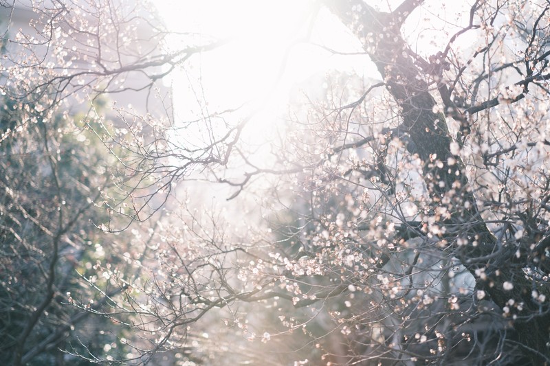 f:id:scene45:20210307153106j:plain