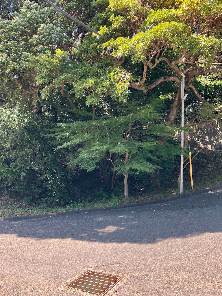 f:id:scene45:20241012161018j:image
