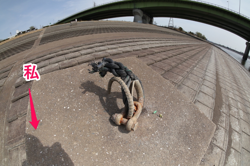 Samyangの格安魚眼レンズ「8mm F2.8 UMC FISH-EYE II」を購入（作例