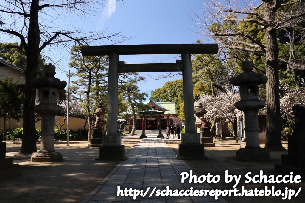 f:id:schaccie:20170402230335j:plain