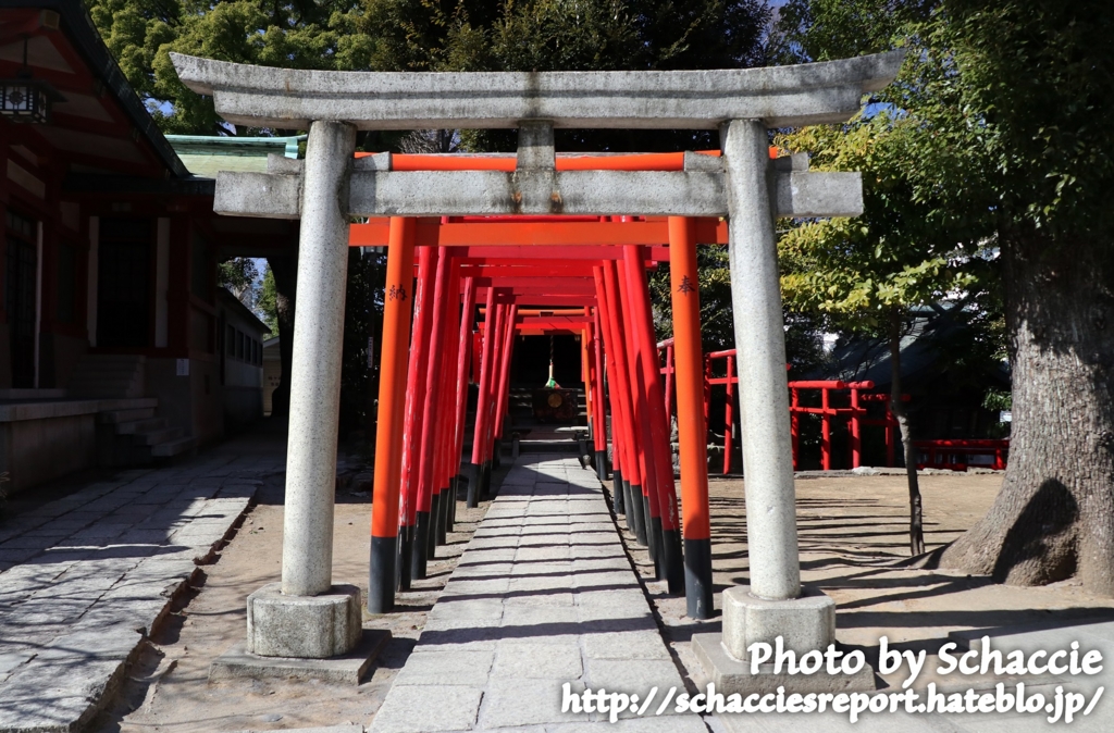 f:id:schaccie:20170402231925j:plain