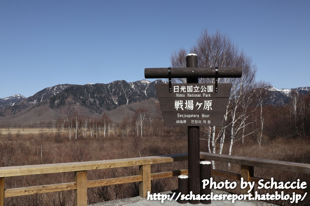 f:id:schaccie:20170618172542j:plain