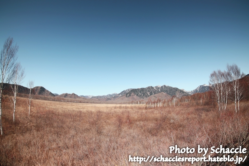 f:id:schaccie:20170618173139j:plain