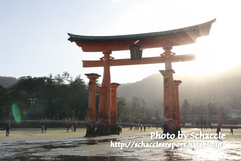 f:id:schaccie:20190107163222j:plain f:id:schaccie:20190107163222j:plain