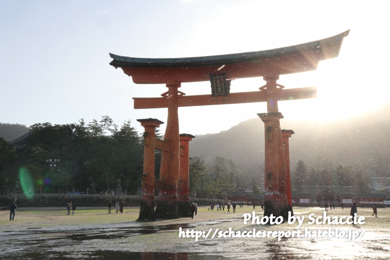 厳島神社-鳥居-3